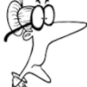 Meet your Posher, Terri